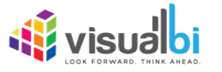 Visual BI Solutions